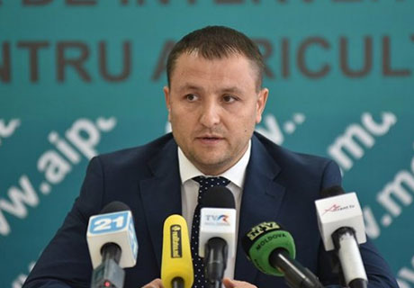 ОВОЩЕВОДЫ И ВИНОДЕЛЫ МОГУТ ПОЛУЧИТЬ ЛЬГОТНЫЕ КРЕДИТЫ ПО ПРОГРАММЕ «САДЫ МОЛДОВЫ» ОВОЩЕВОДЫ И ВИНОДЕЛЫ МОГУТ ПОЛУЧИТЬ ЛЬГОТНЫЕ КРЕДИТЫ ПО ПРОГРАММЕ «САДЫ МОЛДОВЫ»