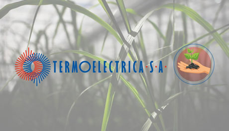 TERMOELECTRICA НАМЕРЕНА НАЛАДИТЬ ПРОИЗВОДСТВО ТЕПЛОНОСИТЕЛЯ ИЗ ВОЗОБНОВЛЯЕМЫХ ИСТОЧНИКОВ ЭНЕРГИИ TERMOELECTRICA НАМЕРЕНА НАЛАДИТЬ ПРОИЗВОДСТВО ТЕПЛОНОСИТЕЛЯ ИЗ ВОЗОБНОВЛЯЕМЫХ ИСТОЧНИКОВ ЭНЕРГИИ