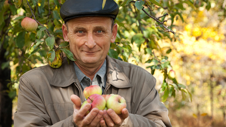 AGROCREDO. C ДОВЕРИЕМ К СЕЛЬХОЗПРОИЗВОДИТЕЛЯМ AGROCREDO. C ДОВЕРИЕМ К СЕЛЬХОЗПРОИЗВОДИТЕЛЯМ