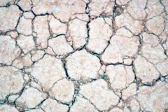 РОССИЯ ПРЕДОСТАВИТ ПОМОЩЬ ГАГАУЗИИ ДЛЯ ПРЕОДОЛЕНИЯ ПОСЛЕДСТВИЙ ЗАСУХИ