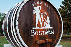 VINARIA BOSTOVAN ВЫПУСТИЛА СЕРИЮ ВИН – DAOS
