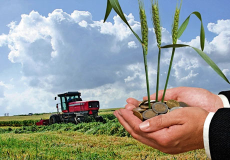 DE GRANTURILE PROIECTULUI MAC-P AU BENEFICIAT 192 DE FERMIERI DIN MOLDOVA. DE GRANTURILE PROIECTULUI MAC-P AU BENEFICIAT 192 DE FERMIERI DIN MOLDOVA.