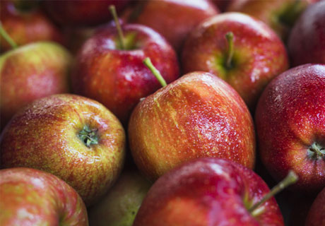 COMPANIA „FRESH TIME” A EXPEDIAT ÎN DUBAI AL DOILEA LOR DE MERE MOLDOVENEŞTI COMPANIA „FRESH TIME” A EXPEDIAT ÎN DUBAI AL DOILEA LOR DE MERE MOLDOVENEŞTI