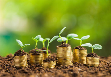 VOLUMUL INVESTIŢIILOR ÎN AGRICULTURA MOLDOVEI A CRESCUT CU 22% VOLUMUL INVESTIŢIILOR ÎN AGRICULTURA MOLDOVEI A CRESCUT CU 22%