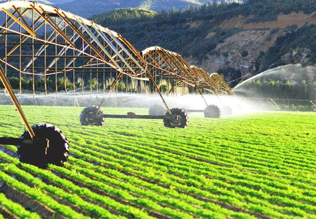 MOLDOVA AR PUTEA PRIMI CIRCA 23 MLN. DE EURO PENTRU DEZVOLTAREA DURABILĂ A AGRICULTURII MOLDOVA AR PUTEA PRIMI CIRCA 23 MLN. DE EURO PENTRU DEZVOLTAREA DURABILĂ A AGRICULTURII