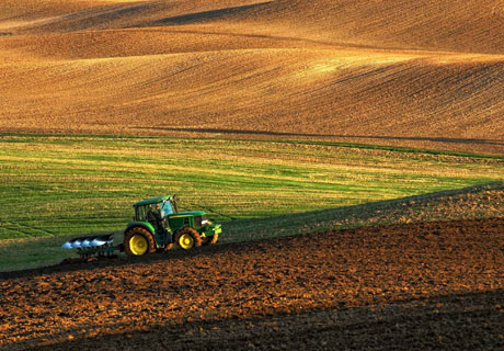 MOLDOVA ŞI LITUANIA AU SEMNAT UN PLAN DE ACŢIUNI PENTRU CONSOLIDAREA COOPERĂRII ÎN AGRICULTURĂ MOLDOVA ŞI LITUANIA AU SEMNAT UN PLAN DE ACŢIUNI PENTRU CONSOLIDAREA COOPERĂRII ÎN AGRICULTURĂ