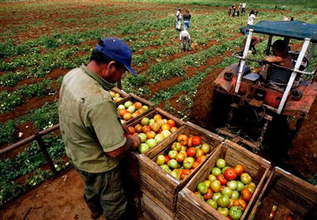 38 DE PRODUCĂTORI AGRICOLI AU DEPUS CERERI PENTRU OBȚINEREA SUBVENȚIILOR ÎN AVANS 38 DE PRODUCĂTORI AGRICOLI AU DEPUS CERERI PENTRU OBȚINEREA SUBVENȚIILOR ÎN AVANS