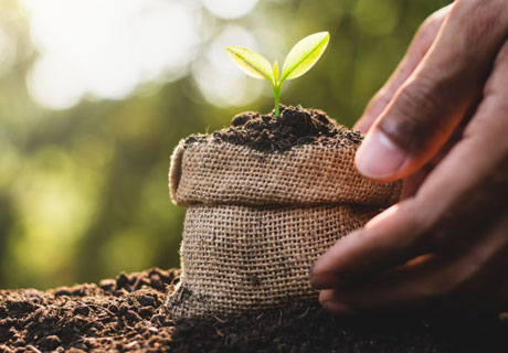 ÎN PRIMUL SEMESTRU, NUMĂRUL CERERILOR DE SOLICITARE A SUBVENŢIILOR ÎN AGRICULTURĂ A CRESCUT CU 12% ÎN PRIMUL SEMESTRU, NUMĂRUL CERERILOR DE SOLICITARE A SUBVENŢIILOR ÎN AGRICULTURĂ A CRESCUT CU 12%