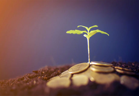 AIPA A ACHITAT PRODUCĂTORILOR AGRICOLI DIN MOLDOVA SUBVENŢII ÎN VALOARE DE PESTE 218,9 MIL. LEI AIPA A ACHITAT PRODUCĂTORILOR AGRICOLI DIN MOLDOVA SUBVENŢII ÎN VALOARE DE PESTE 218,9 MIL. LEI