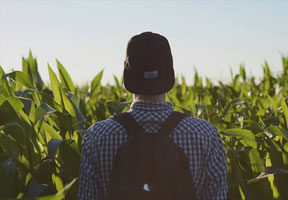 CETĂŢENII MOLDOVEI POT FACE STUDII DE MASTERAT ÎN AGRICULTURĂ ÎN UNGARIA CETĂŢENII MOLDOVEI POT FACE STUDII DE MASTERAT ÎN AGRICULTURĂ ÎN UNGARIA