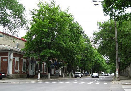 TRAFICUL RUTIER PE STRADA BUCUREŞTI DIN CAPITALĂ VA FI SUSPENDAT ÎN LEGĂTURĂ CU LUCRĂRILE DE REPARAŢIE TRAFICUL RUTIER PE STRADA BUCUREŞTI DIN CAPITALĂ VA FI SUSPENDAT ÎN LEGĂTURĂ CU LUCRĂRILE DE REPARAŢIE