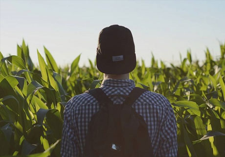 CETĂŢENII MOLDOVEI POT FACE STUDII DE MASTERAT ÎN AGRICULTURĂ ÎN UNGARIA CETĂŢENII MOLDOVEI POT FACE STUDII DE MASTERAT ÎN AGRICULTURĂ ÎN UNGARIA