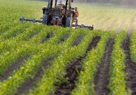 DECIZIA PROTOCOLARĂ PRIVIND ASIGURAREA ACCESULUI FERMIERILOR LA TERENURILE LOR DIN TRANSNISTRIA NU SE RESPECTĂ DECIZIA PROTOCOLARĂ PRIVIND ASIGURAREA ACCESULUI FERMIERILOR LA TERENURILE LOR DIN TRANSNISTRIA NU SE RESPECTĂ