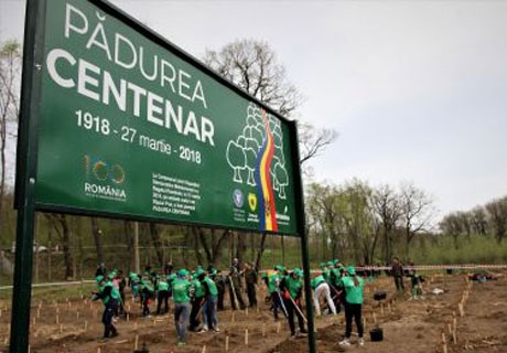 ÎN MOLDOVA ŞI ROMÂNIA VA FI PLANTATĂ „PĂDUREA CENTENAR” ÎN MOLDOVA ŞI ROMÂNIA VA FI PLANTATĂ „PĂDUREA CENTENAR”