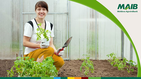 CREDITE ATRACTIVE DE LA MOLDOVA AGROINDBANK PENTRU PRODUCĂTORII AGRICOLI CREDITE ATRACTIVE DE LA MOLDOVA AGROINDBANK PENTRU PRODUCĂTORII AGRICOLI