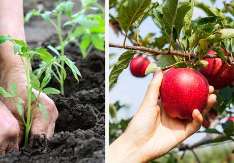MOLDOVA AGROINDBANK RELANSEAZĂ CAMPANIA DEDICATĂ PRODUCĂTORILOR AGRICOLI ”PRIMĂVARA 2020” MOLDOVA AGROINDBANK RELANSEAZĂ CAMPANIA DEDICATĂ PRODUCĂTORILOR AGRICOLI ”PRIMĂVARA 2020”