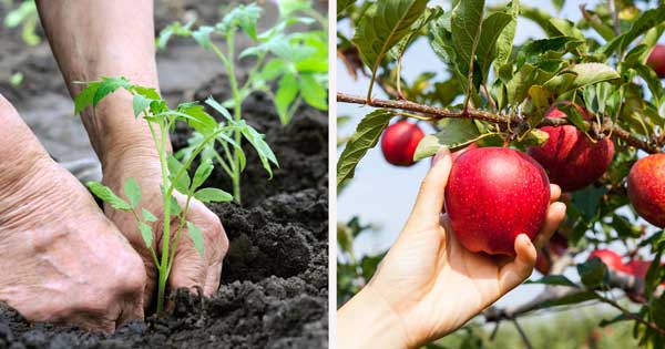 MOLDOVA AGROINDBANK RELANSEAZĂ CAMPANIA DEDICATĂ PRODUCĂTORILOR AGRICOLI ”PRIMĂVARA 2020” MOLDOVA AGROINDBANK RELANSEAZĂ CAMPANIA DEDICATĂ PRODUCĂTORILOR AGRICOLI ”PRIMĂVARA 2020”