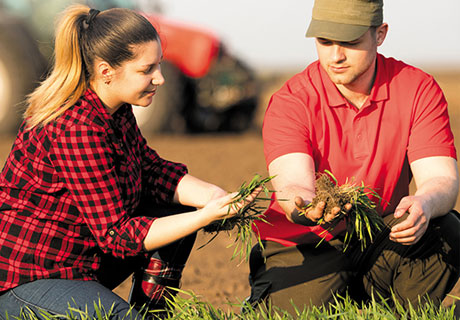 MOBIASBANCĂ CREDE ÎN TINE ȘI ÎN AGRICULTURA MOLDOVEI! MOBIASBANCĂ CREDE ÎN TINE ȘI ÎN AGRICULTURA MOLDOVEI!