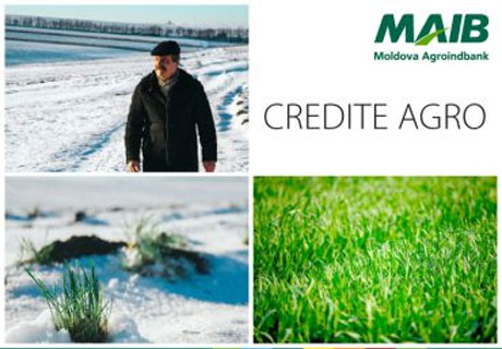 LA MAIB, TE CREDITĂM UŞOR. RECOLTEZI CU SPOR LA MAIB, TE CREDITĂM UŞOR. RECOLTEZI CU SPOR