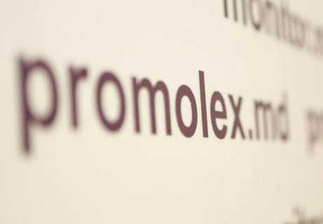PROMO-LEX MAINTAINS THAT CEC HAS EXCEEDED POWERS PROMO-LEX MAINTAINS THAT CEC HAS EXCEEDED POWERS