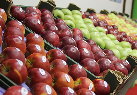 ANSA PREPARES ADDITIONAL LIST OF FRUIT SUPPLIERS TO RUSSIA ANSA PREPARES ADDITIONAL LIST OF FRUIT SUPPLIERS TO RUSSIA