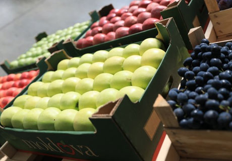 USAID AND MOLDOVA-FRUCT PRESENT MANUAL ON EXPORTING FRUIT IN SEA CONTAINERS USAID AND MOLDOVA-FRUCT PRESENT MANUAL ON EXPORTING FRUIT IN SEA CONTAINERS