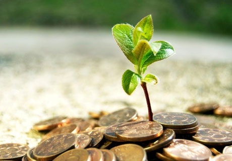 GOVERNMENT TRANSFERS 148 MLN LEI TO ACCOUNTS OF FARMERS AFFECTED BY DROUGHT AND HAIL GOVERNMENT TRANSFERS 148 MLN LEI TO ACCOUNTS OF FARMERS AFFECTED BY DROUGHT AND HAIL