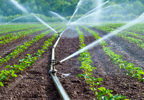 REVENUES OF IRRIGATION WATER USERS GREW 20% OVER A YEAR REVENUES OF IRRIGATION WATER USERS GREW 20% OVER A YEAR