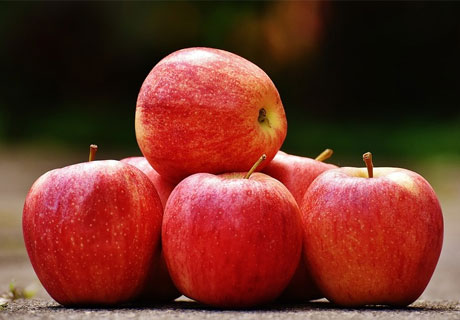 MOLDOVAN FRUIT GROWERS MAY SUPPLY APPLES TO ISRAEL MOLDOVAN FRUIT GROWERS MAY SUPPLY APPLES TO ISRAEL