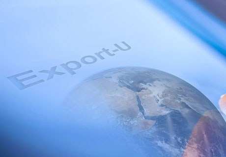 MOLDOVAN EXPORTS GREW 8.1% OVER A YEAR MOLDOVAN EXPORTS GREW 8.1% OVER A YEAR