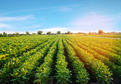 AIPA PROVIDES 13 MOLDOVAN FARMERS WITH 8 MILLION LEI SUBSIDIES IN ADVANCE AIPA PROVIDES 13 MOLDOVAN FARMERS WITH 8 MILLION LEI SUBSIDIES IN ADVANCE