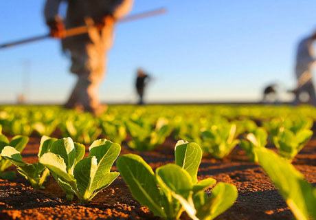 AIPA RECEIVES 470 APPLICATIONS FOR SUBSIDIES WORTH US$4.8 MILLION AIPA RECEIVES 470 APPLICATIONS FOR SUBSIDIES WORTH US$4.8 MILLION