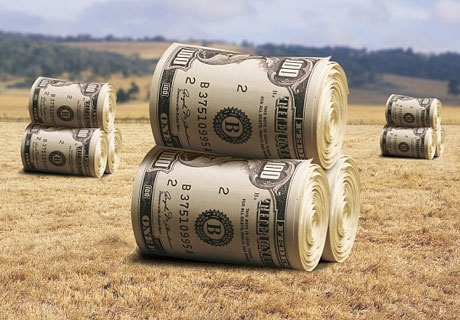 GOVERNMENT RAISES AGRICULTURAL SUBSIDIES GOVERNMENT RAISES AGRICULTURAL SUBSIDIES