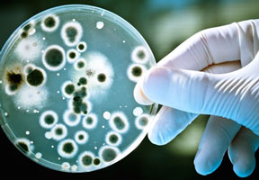 MOLDOVAN RESEARCHERS INVITED TO COMPETITION TO COMBAT THREAT OF ANTIBIOTIC RESISTANCE MOLDOVAN RESEARCHERS INVITED TO COMPETITION TO COMBAT THREAT OF ANTIBIOTIC RESISTANCE