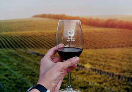 NVWO TO PUBLISH CATALOGUE OF MOLDOVAN WINES AWARDED WITH INTERNATIONAL GOLD IN 2018 NVWO TO PUBLISH CATALOGUE OF MOLDOVAN WINES AWARDED WITH INTERNATIONAL GOLD IN 2018