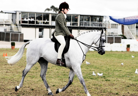 YOUNG MOLDOVAN EQUESTRIANS TO BE TRAINED AT MOSCOW RIDING SCHOOL YOUNG MOLDOVAN EQUESTRIANS TO BE TRAINED AT MOSCOW RIDING SCHOOL