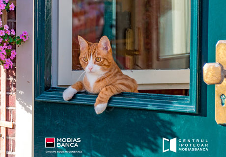 DO YOU WANT TO OWN A HOUSE? LET THE PROFESSIONALS HELP YOU DO YOU WANT TO OWN A HOUSE? LET THE PROFESSIONALS HELP YOU