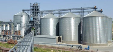 „TRANS OIL” A LANSAT UN NOU PROGRAM DE SUSȚINERE A PRODUCĂTORILOR DE CEREALE ȘI SEMINȚE OLEAGINOASE „TRANS OIL” A LANSAT UN NOU PROGRAM DE SUSȚINERE A PRODUCĂTORILOR DE CEREALE ȘI SEMINȚE OLEAGINOASE