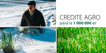 MOLDOVA AGROINDBANK A LANSAT O NOUĂ CAMPANIE "TE CREDITĂM UŞOR. RECOLTEZI CU SPOR" MOLDOVA AGROINDBANK A LANSAT O NOUĂ CAMPANIE "TE CREDITĂM UŞOR. RECOLTEZI CU SPOR"