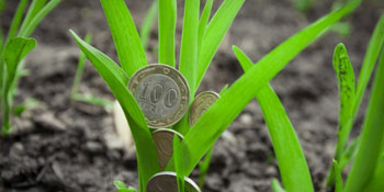 AIPA A PRIMIT CERERI DE SUBVENŢIONARE DIN PARTEA PRODUCĂTORILOR AGRICOLI ÎN SUMĂ DE 123,4 MIL. LEI AIPA A PRIMIT CERERI DE SUBVENŢIONARE DIN PARTEA PRODUCĂTORILOR AGRICOLI ÎN SUMĂ DE 123,4 MIL. LEI