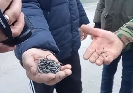 PE PODUL DE PESTE NISTRU, LÂNGĂ SĂNĂTĂUCA, PERSOANE NECUNOSCUTE AU ÎMPRĂȘTIAT PARTICULE DE SÂRMĂ GHIMPATĂ PE PODUL DE PESTE NISTRU, LÂNGĂ SĂNĂTĂUCA, PERSOANE NECUNOSCUTE AU ÎMPRĂȘTIAT PARTICULE DE SÂRMĂ GHIMPATĂ