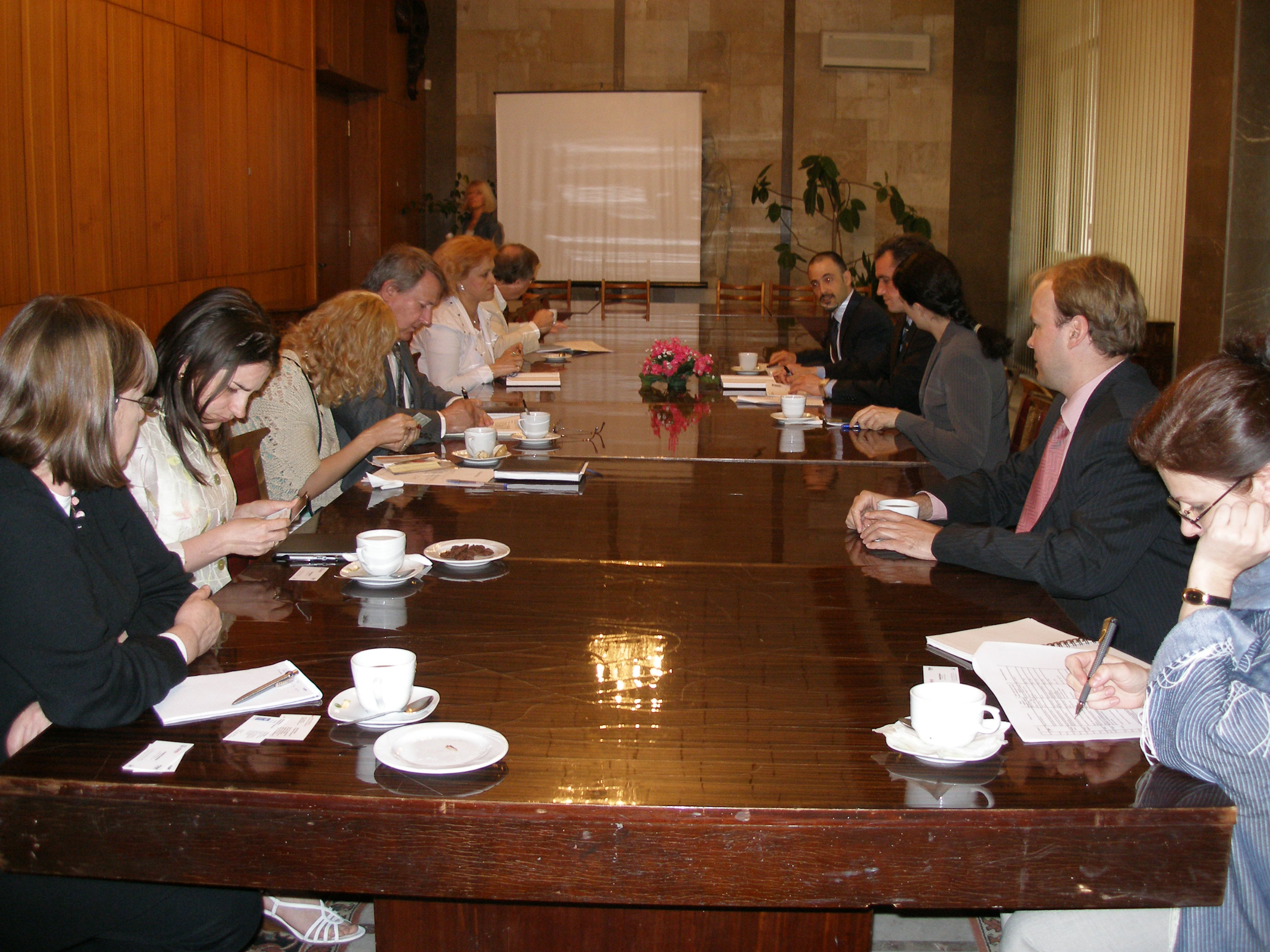 Рабочее заседание UNDP в Молдове