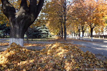 Кишинев засыпало листвой