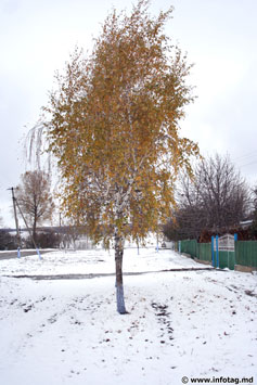 Первый снег в Молдове
