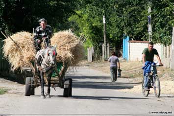 Первый транспорт на деревне