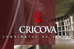 CRICOVA JSC received the ISO 22000:2005 certificate