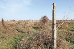 LAND OWNERS TO PAY FINES FOR UNPROCESSED FARMLANDS 